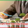  Draft Red Herring Prospectus 