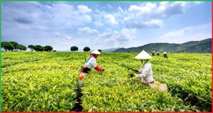 NABARD क्या है 