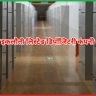 मल्टीबैगर स्टॉक CDSL 