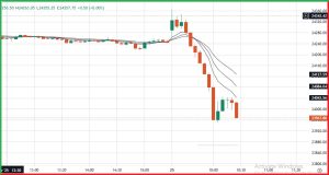 stock market crash
