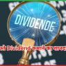 Dividend