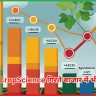 Bayer CropScience