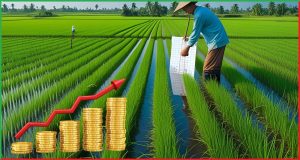 Kharif