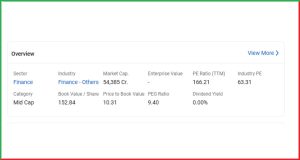 Max Financial Services
