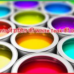 Asian Paints
