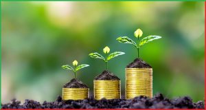Mutual Funds