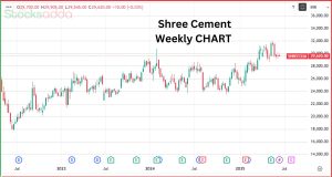 Shree Cement