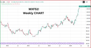 Max Financial Services