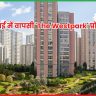 DLF